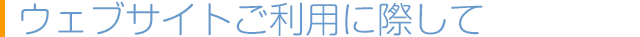 ウェブサイトご利用に際して